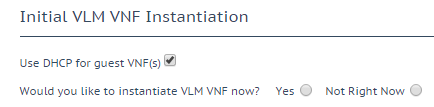 Initial VLM VNF Instantiation.png